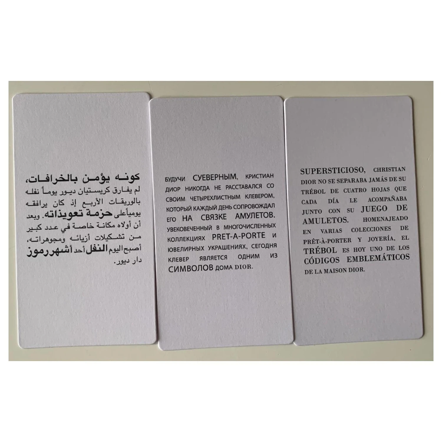 Dior Charmes De Sac Argenté Rouge 5 Dior Charmes De Sac Argenté Rouge – Image 5