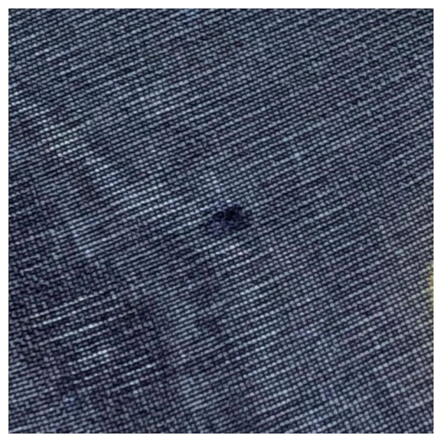 DIOR Bleu Marine 4 DIOR Bleu Marine – Image 4