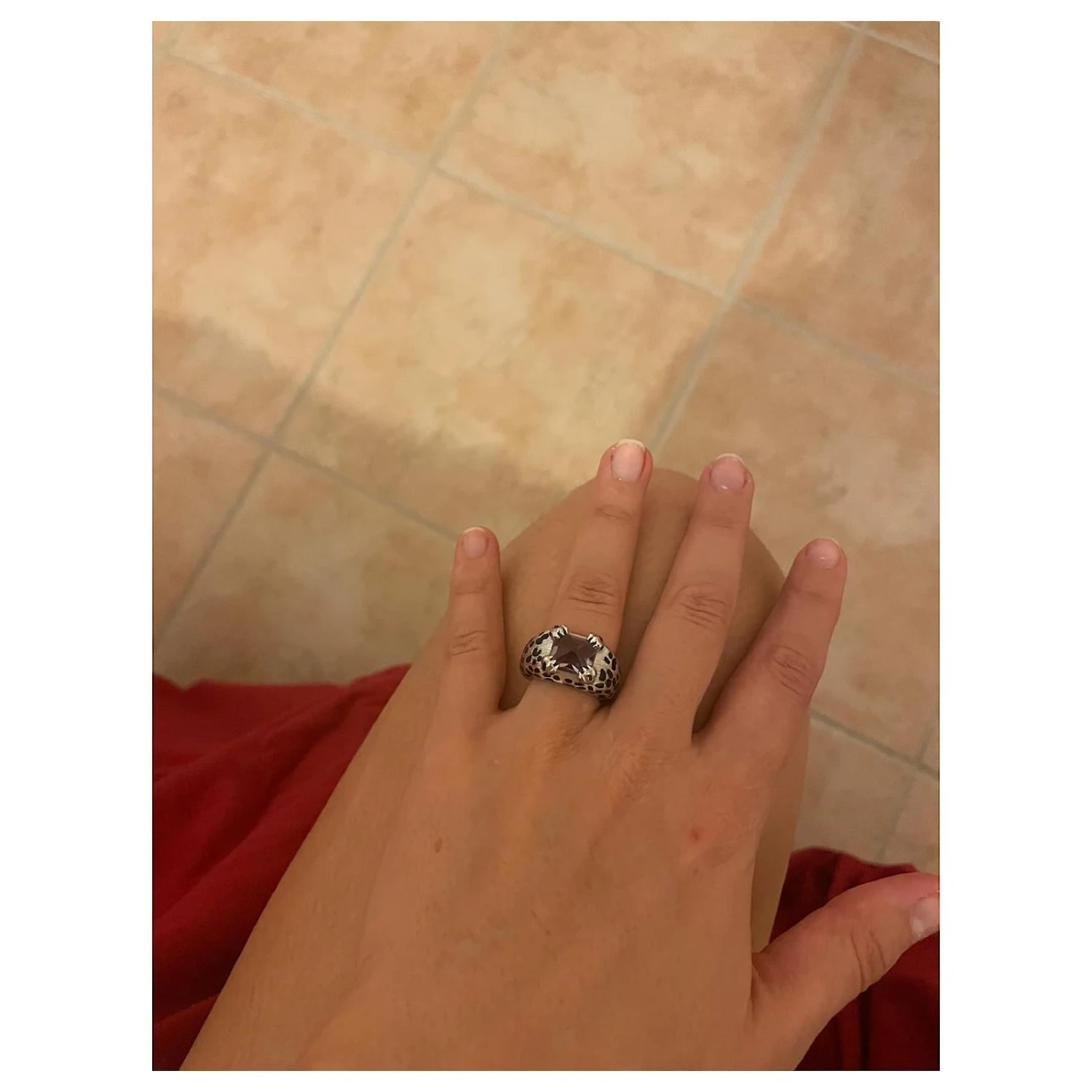 Dior Mitza Argenté 2 Dior Mitza Argenté – Image 2