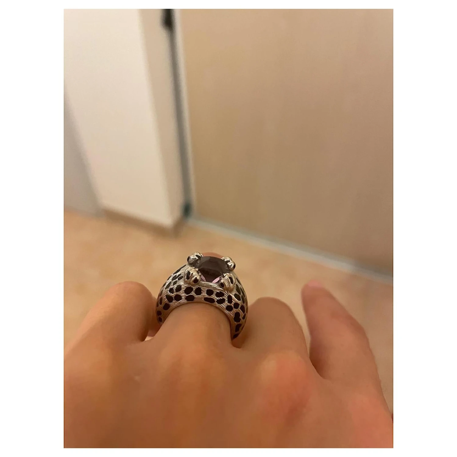 Dior Mitza Argenté 3 Dior Mitza Argenté – Image 3