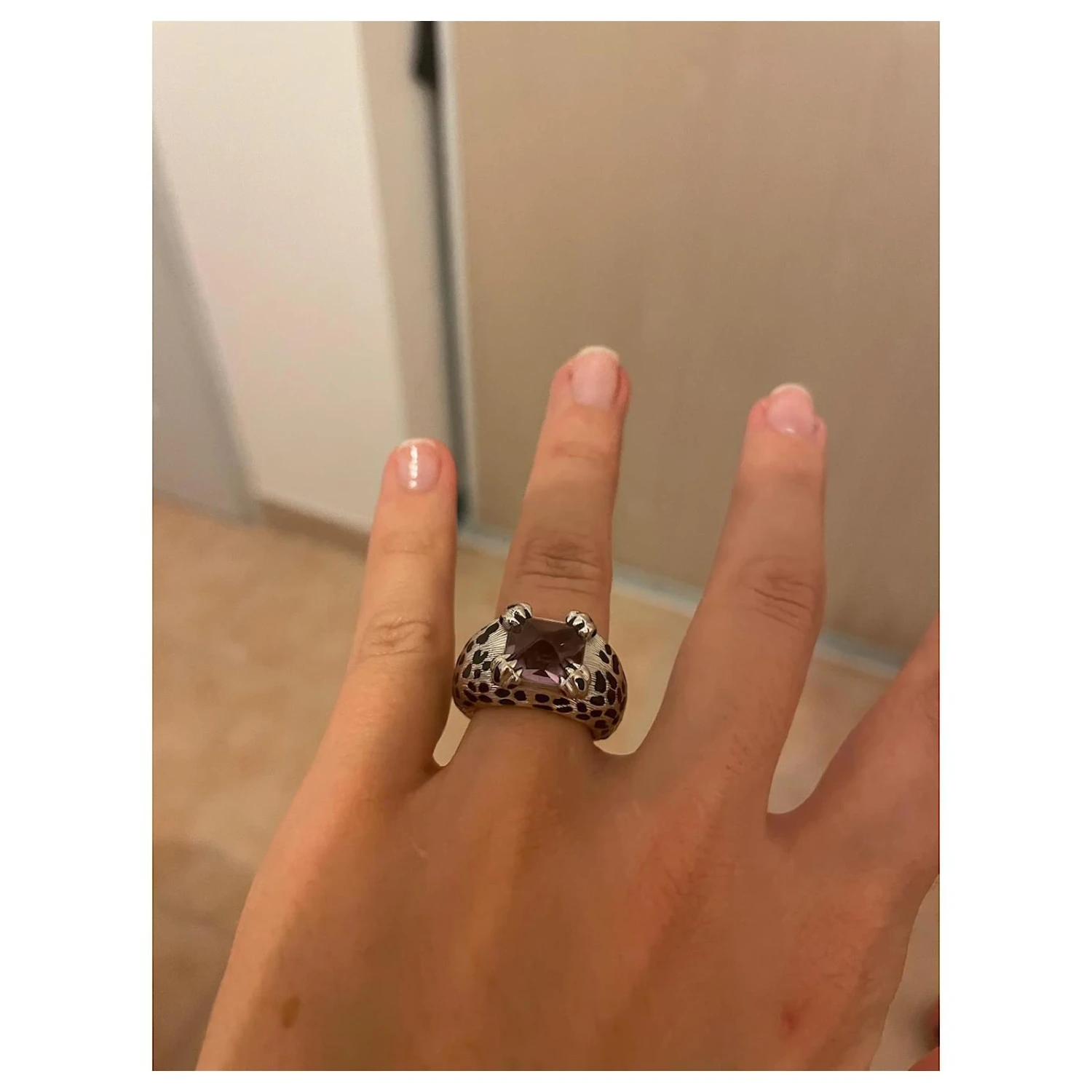 Dior Mitza Argenté 5 Dior Mitza Argenté – Image 5