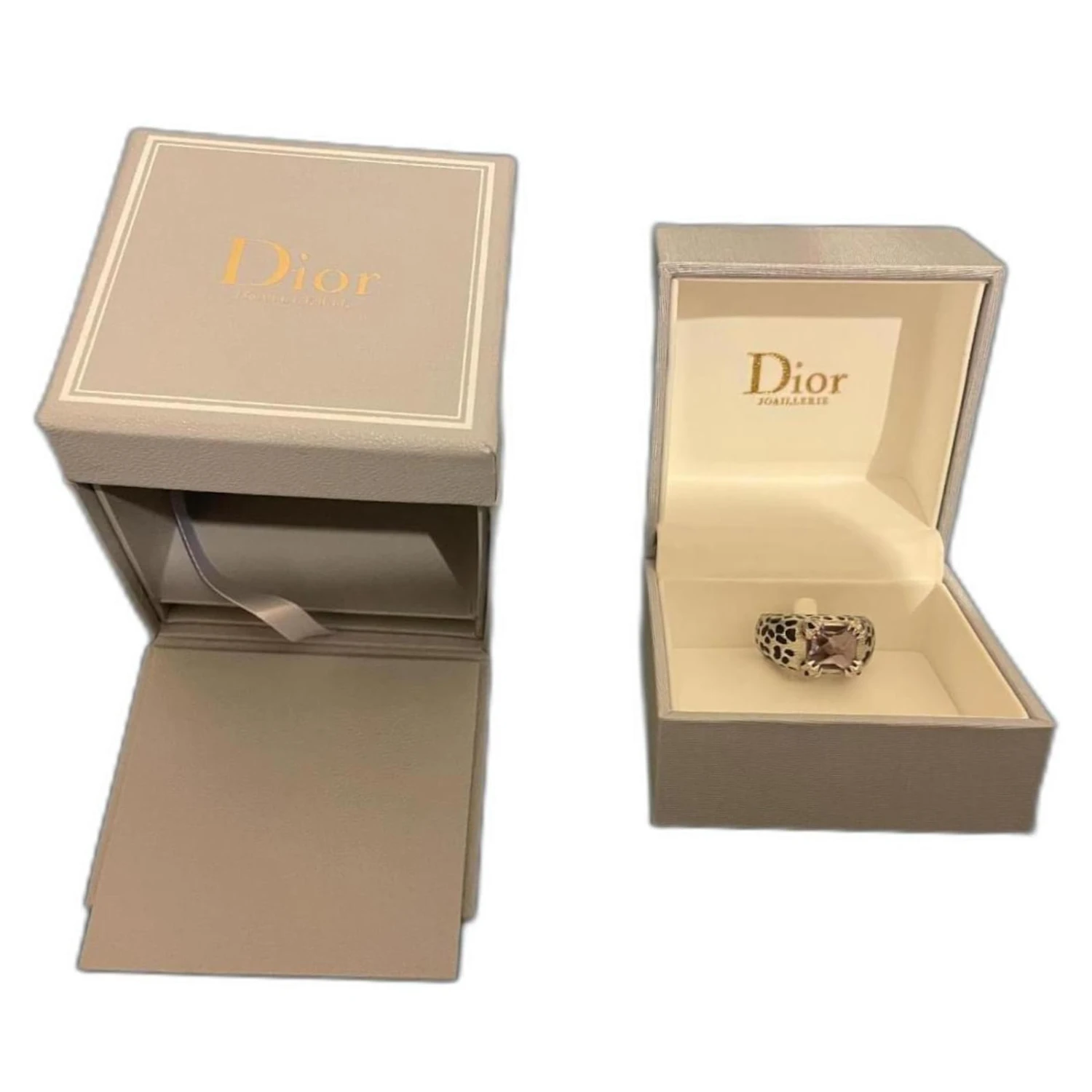 Dior Mitza Argenté 1 Dior Mitza Argenté