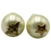 Christian Dior Tribales Clous D'oreilles Abeille Et Étoile En Fausse Perle Blanche Écru