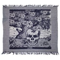 Dior Echarpes Bleu Écru