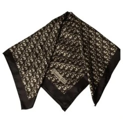 Dior Echarpes Marron