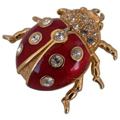 Dior LADYBUG BROCHE Rouge