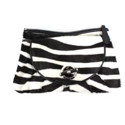 Christian Dior Pochette